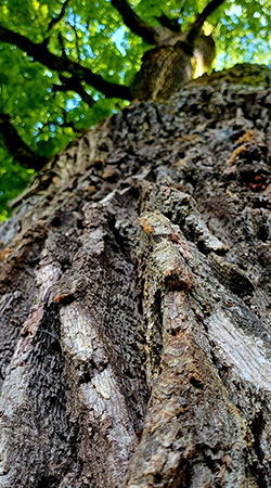 sabine linge familienaufstellung esslingen