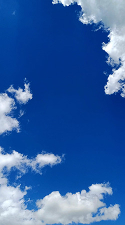 sabine linge FFW Forum Wertorientierung Weiterbildung