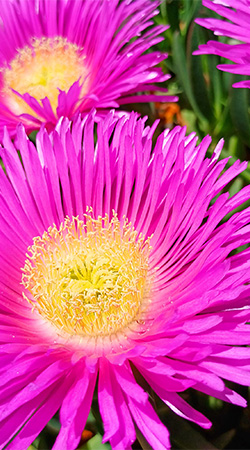 sabine linge esslingen