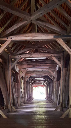 sabine linge esslingen