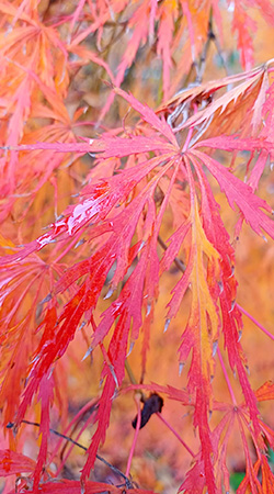 sabine linge esslingen