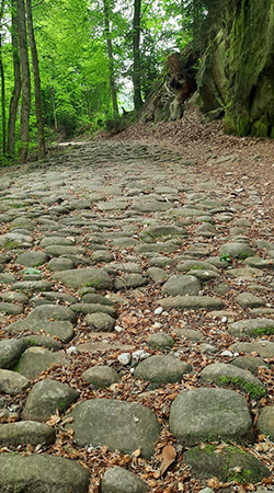 sabine linge esslingen