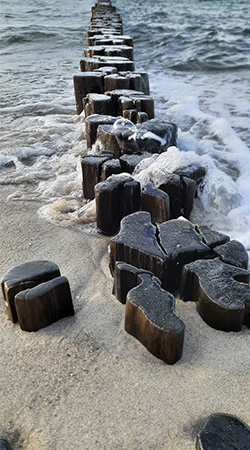 sabine linge esslingen